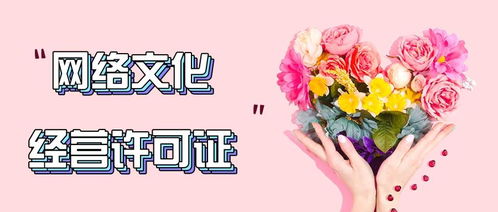 長沙網(wǎng)絡文化經(jīng)營許可證辦理條件指南