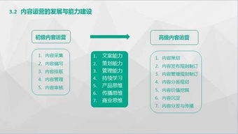 互聯(lián)網(wǎng)公司產(chǎn)品、運營與技術三條業(yè)務線路的概覽與文化特性